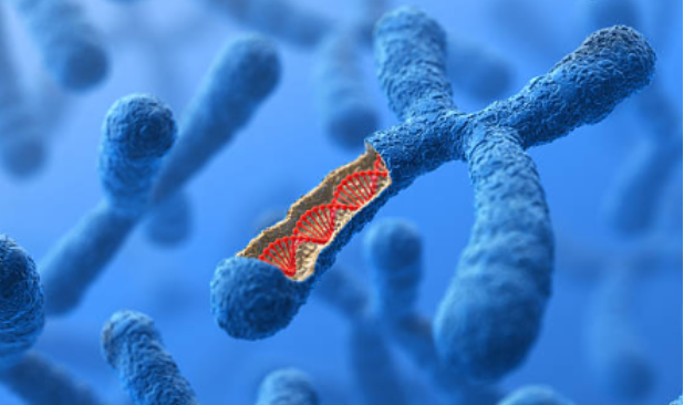 Imagen sobre MICROARRAY CROMOSÓMICO